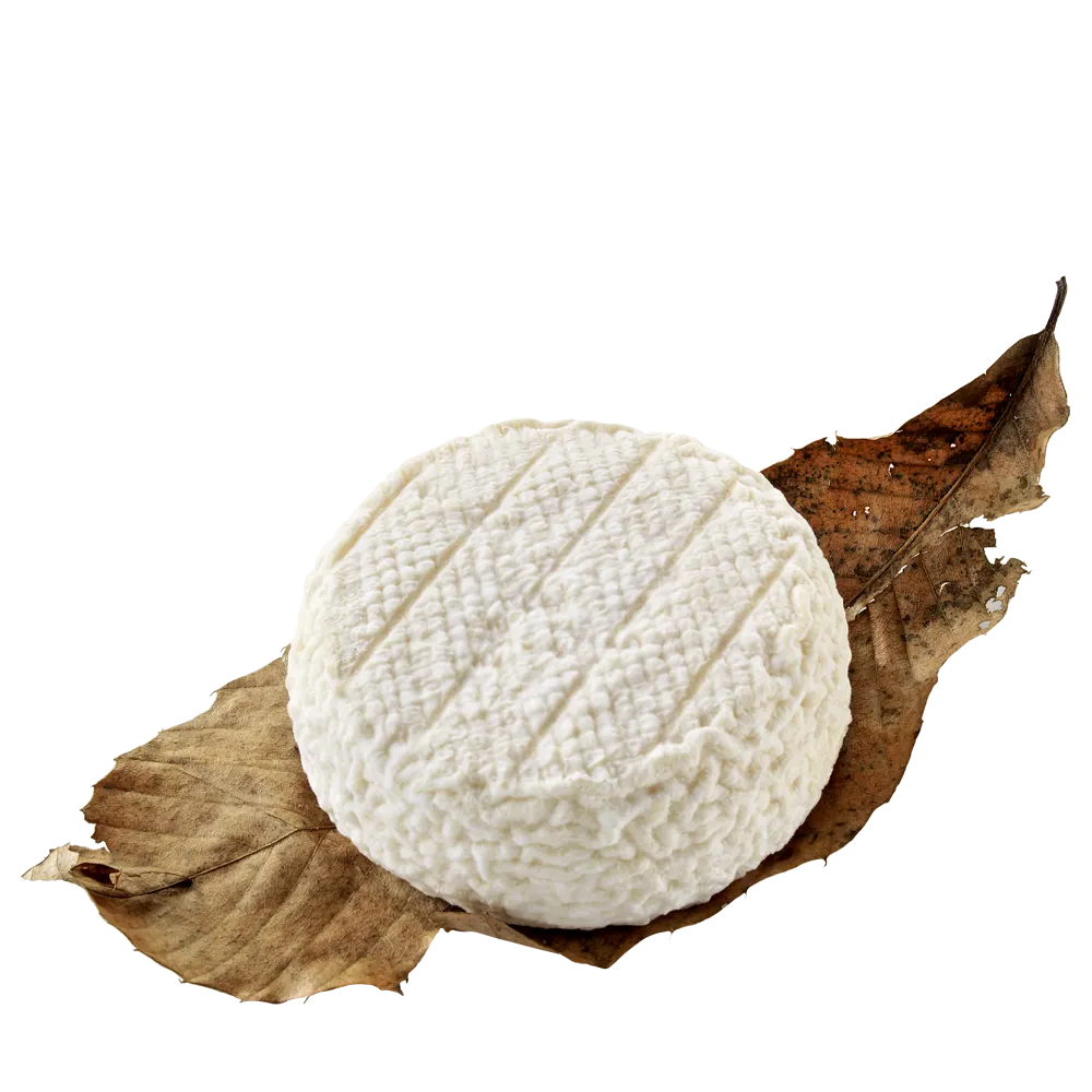 Colettes nature 100g