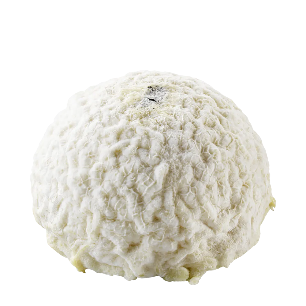 Délice de vulcain 120g